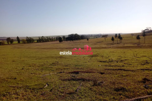 IMG-20220619-WA0063