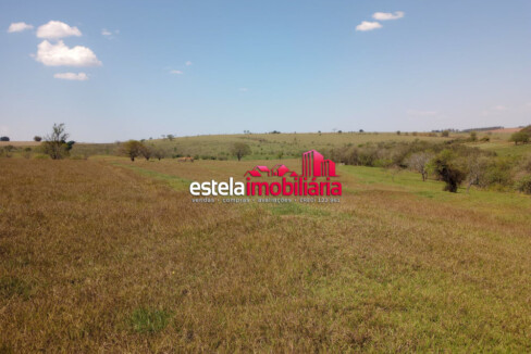 IMG-20240901-WA0046
